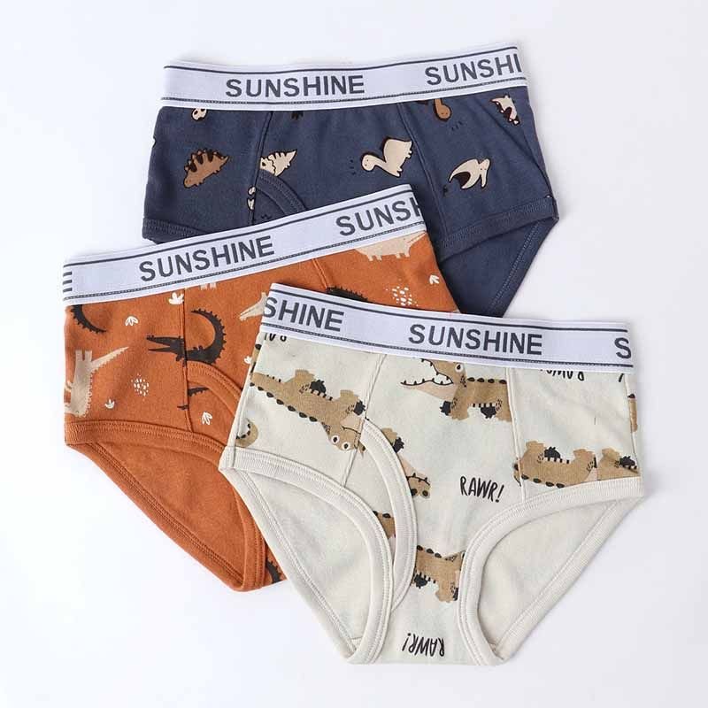 Kids Boys Cute Cartoon Print Underwear Sets