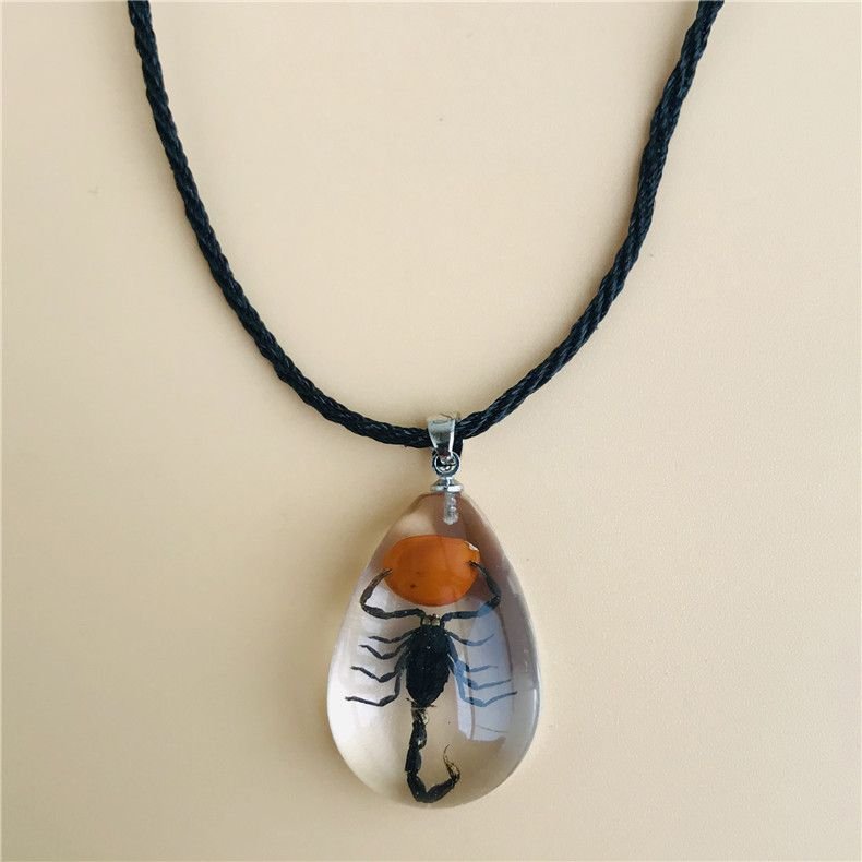 Women Fashion Restaurant Transparent Insect Scorpion Ant Amber Specimen Pendant Necklace 6-Pack