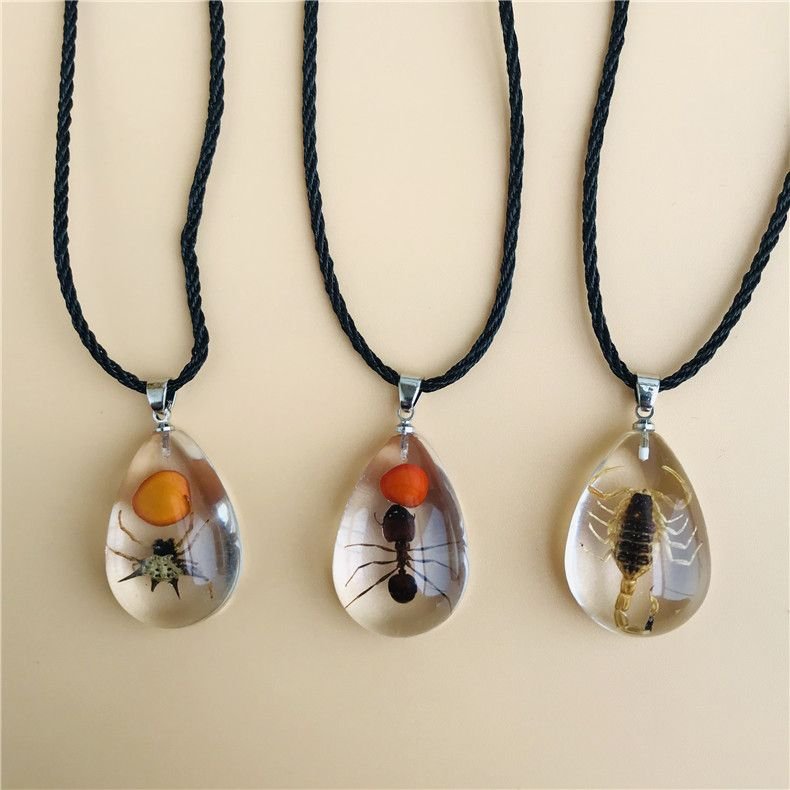 Women Fashion Restaurant Transparent Insect Scorpion Ant Amber Specimen Pendant Necklace 6-Pack