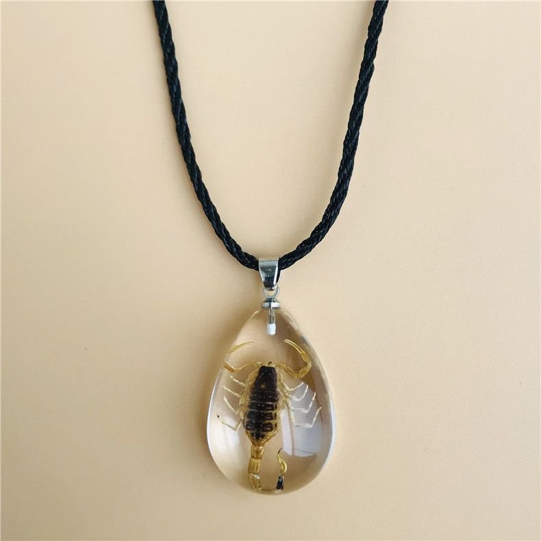Women Fashion Restaurant Transparent Insect Scorpion Ant Amber Specimen Pendant Necklace 6-Pack
