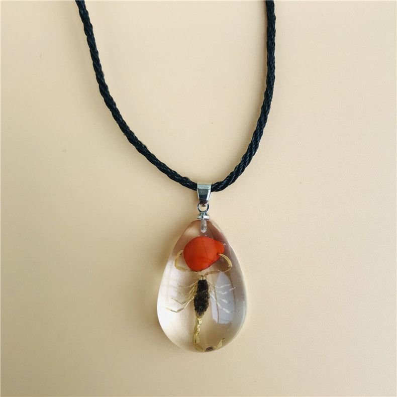 Women Fashion Restaurant Transparent Insect Scorpion Ant Amber Specimen Pendant Necklace 6-Pack