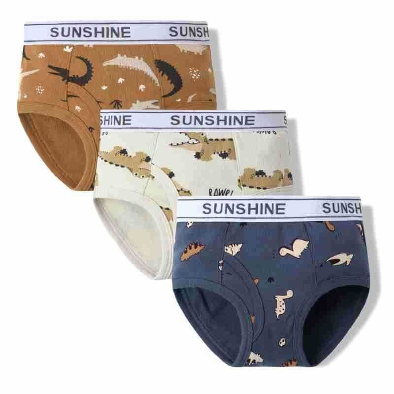 Kids Boys Cute Cartoon Print Underwear Sets