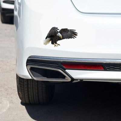 Creative Cartoon 3D Three-Dimensional Eagle Transparent Waterproof Scratch Car File Decoration Sticker