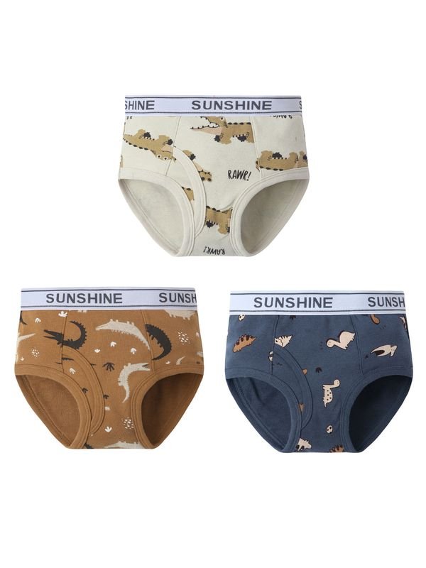 Kids Boys Cute Cartoon Print Underwear Sets